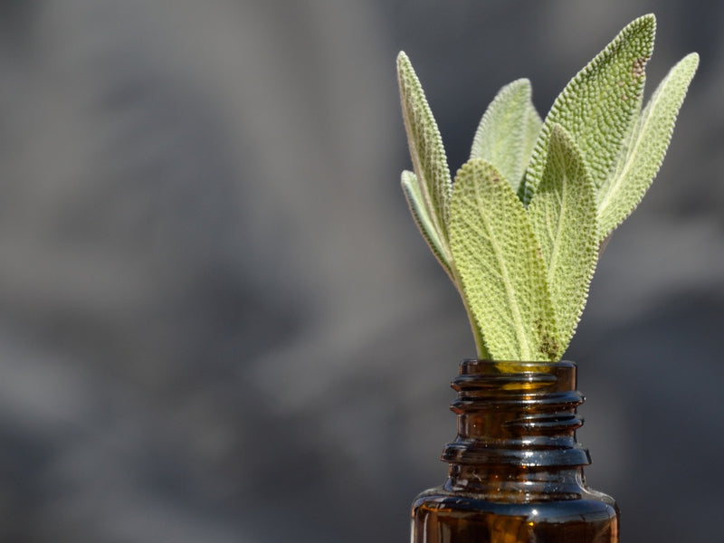 Healing Remedies