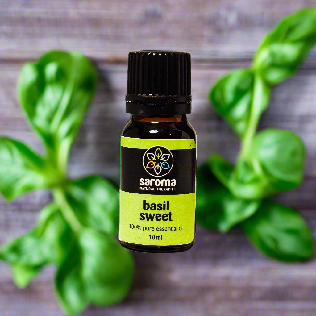10ml bottle of basil essential oil with fresh basil leaves background for natural therapy and aromatic use
